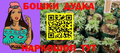 spice Бузулук