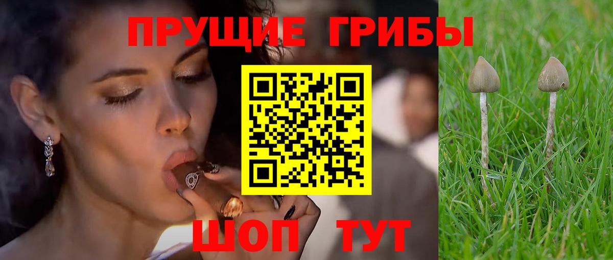 Ростов Великий  Псилоцибиновые грибы Psilocybe  Галлюциногенные грибы ЛСД  Вход с VPN 